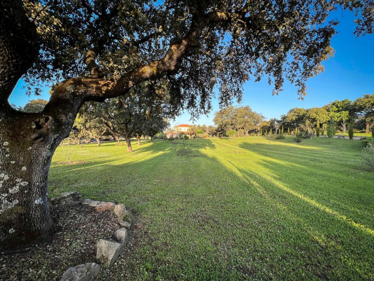 Вілла La Encina Guapa Casa Rural 20,000M2 De Intimidad La Iglesuela Екстер'єр фото